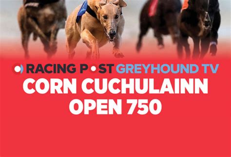 Go Greyhound Racing Dublin .